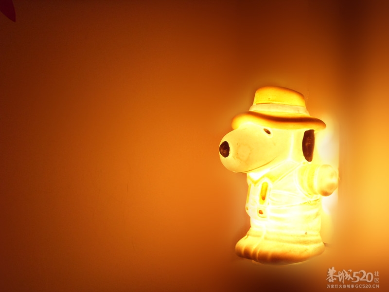 经过一个晚上的彻夜未眠...天亮了....21 / 作者:九曲猫咪 / 帖子ID:11376