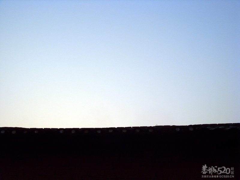 经过一个晚上的彻夜未眠...天亮了....181 / 作者:九曲猫咪 / 帖子ID:11376