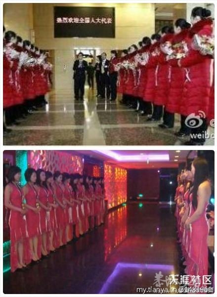 有区别吗？736 / 作者:完美夏天 / 帖子ID:11378