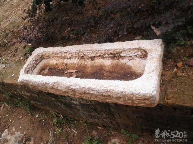 大家猜猜看。。。。。。925 / 作者:金网 / 帖子ID:11400