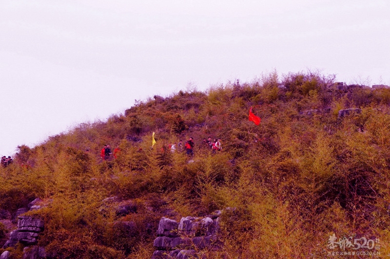 2012桃花节爱心使者桃园徒步（启程、仪式篇）310 / 作者:平安大叔 / 帖子ID:11584