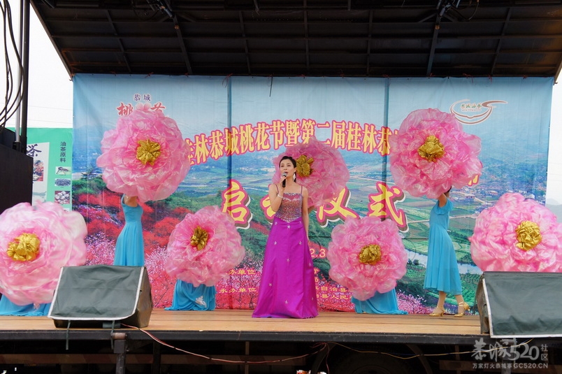 2012桃花节爱心使者桃园徒步（综合篇）938 / 作者:火星娃崽 / 帖子ID:11624