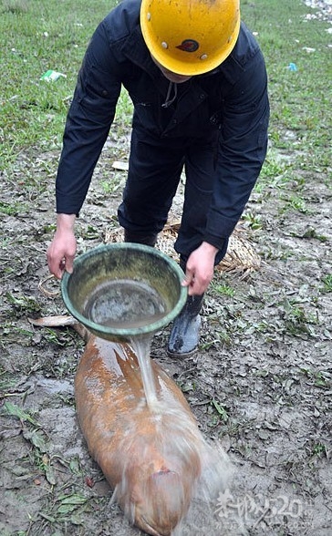 江西鄱阳湖口发现惨死江豚677 / 作者:恭城人 / 帖子ID:11640