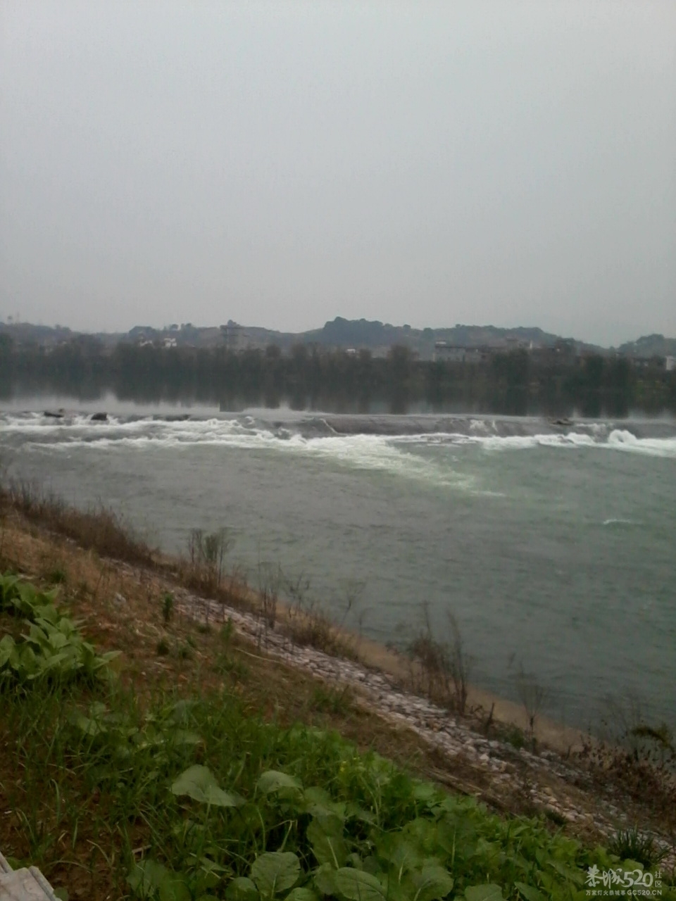 看到这清清的河水心胸豁然开朗了很多852 / 作者:大叔快乐 / 帖子ID:11709