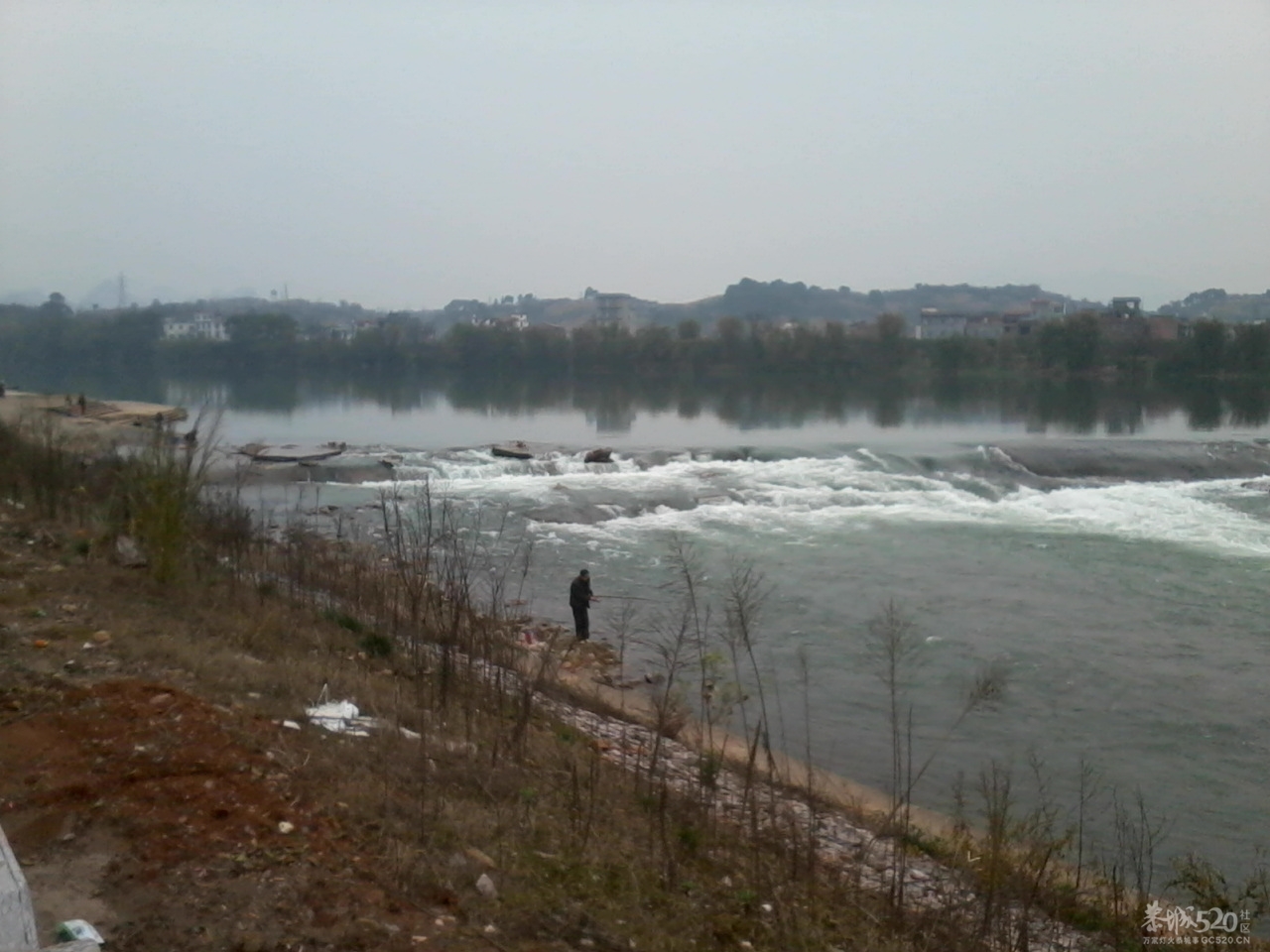 看到这清清的河水心胸豁然开朗了很多343 / 作者:大叔快乐 / 帖子ID:11709