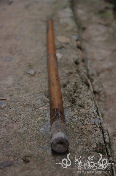 猜猜这两个是什么东西呀。。。341 / 作者:小紫 / 帖子ID:11780