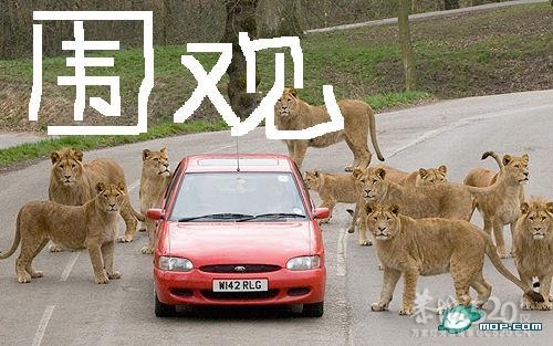 温家宝：改革必须有人民的觉醒和支持520 / 作者:平安大叔 / 帖子ID:11943