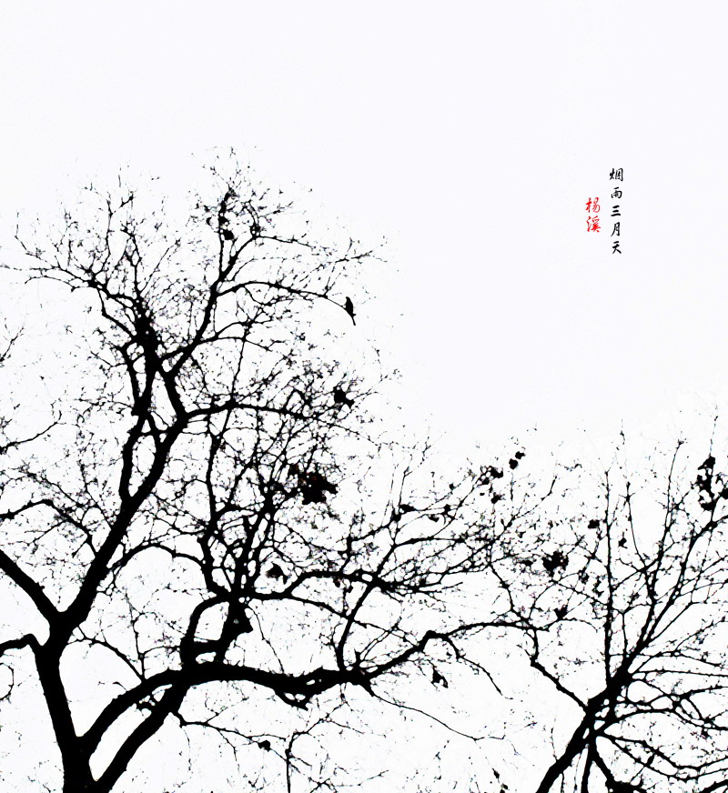 水墨杨溪210 / 作者:講不醜 / 帖子ID:11980