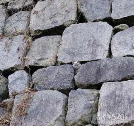 亲，你是克大闹天宫了吗941 / 作者:hei趴 / 帖子ID:12015