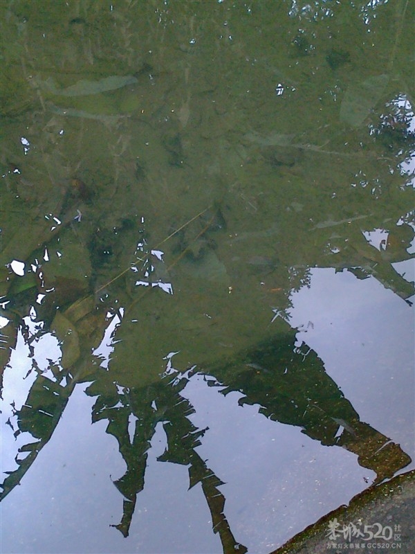 考考你143 / 作者:乐乐 / 帖子ID:12018