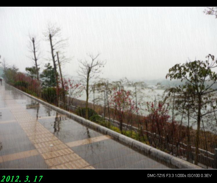 雨中即景＜二＞192 / 作者:平安大叔 / 帖子ID:12064