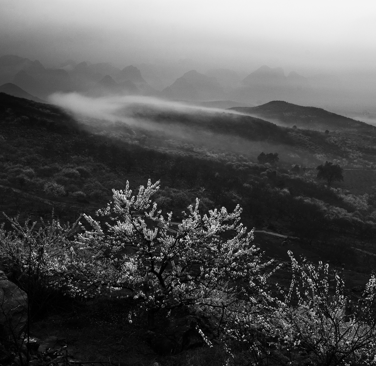 中国风&#8226;烟雨大岭山688 / 作者:孤独の帐篷 / 帖子ID:12091