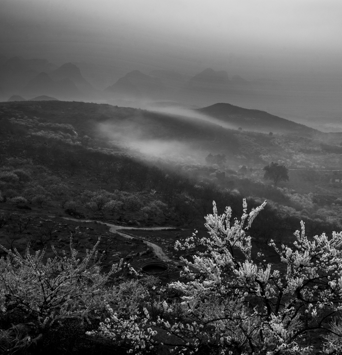 中国风&#8226;烟雨大岭山300 / 作者:孤独の帐篷 / 帖子ID:12091
