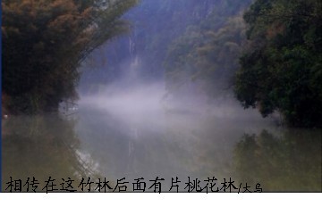 桃花源记401 / 作者:大鸟 / 帖子ID:12184