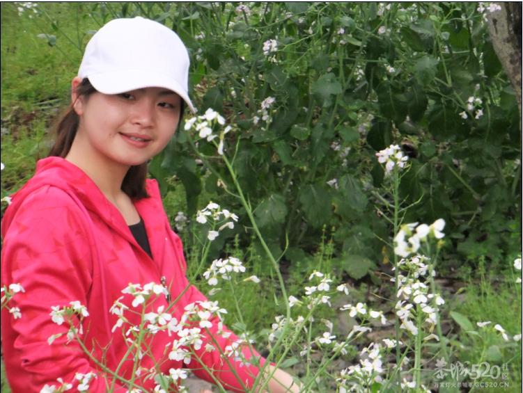 平乐MM947 / 作者:大鸟 / 帖子ID:12206