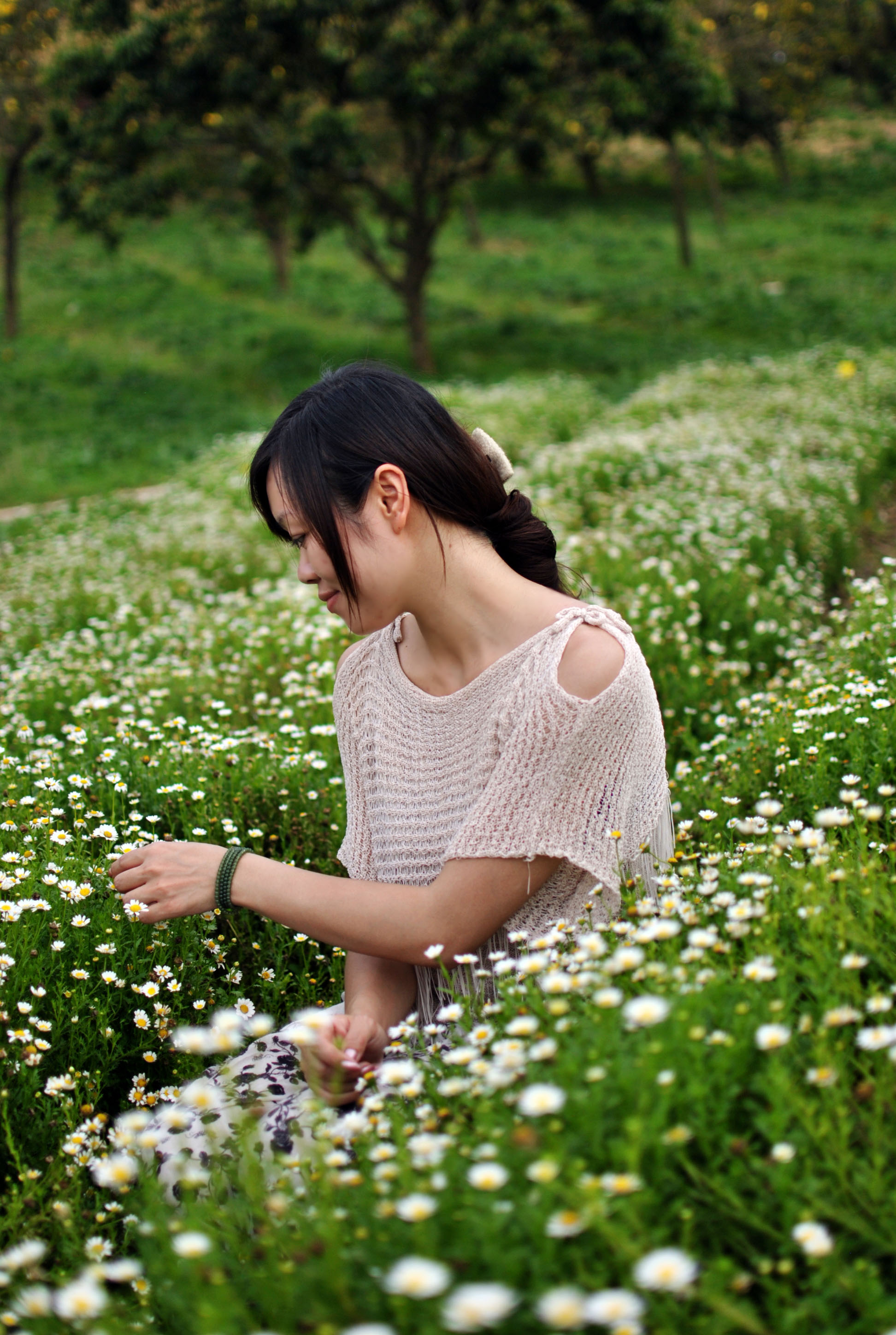 那片花海——我们的身影870 / 作者:娟子 / 帖子ID:12266