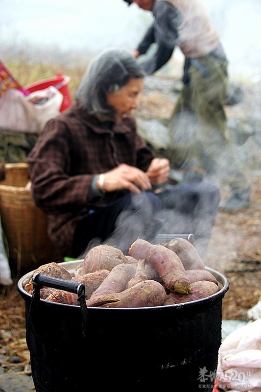 座倒家里看花山942 / 作者:柚子壳※ / 帖子ID:12293