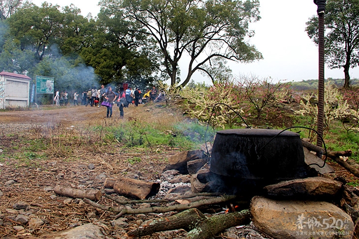 座倒家里看花山53 / 作者:柚子壳※ / 帖子ID:12293