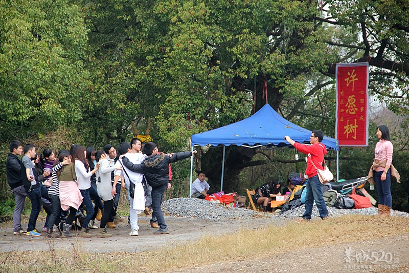 座倒家里看花山858 / 作者:柚子壳※ / 帖子ID:12293