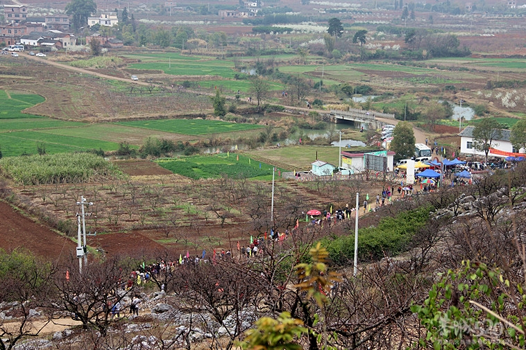座倒家里看花山547 / 作者:柚子壳※ / 帖子ID:12293