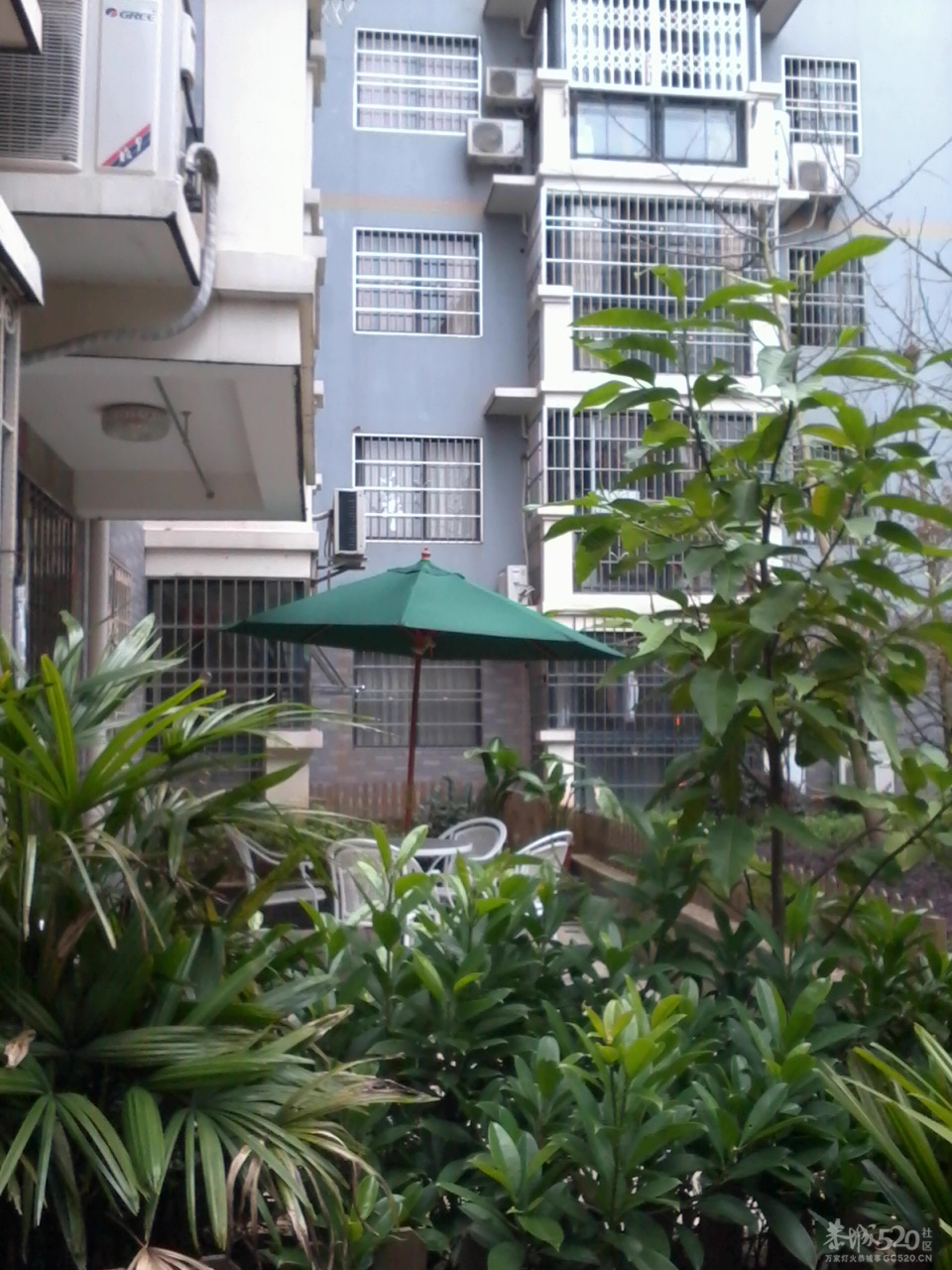 我们小区里的大户人家814 / 作者:大叔快乐 / 帖子ID:12336