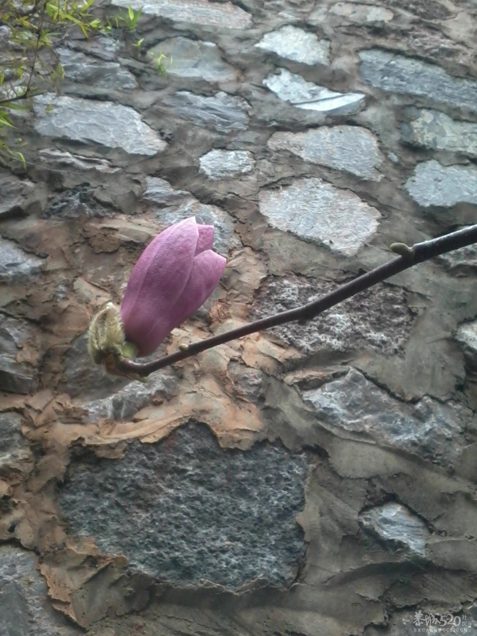 我们小区里的大户人家405 / 作者:大叔快乐 / 帖子ID:12336