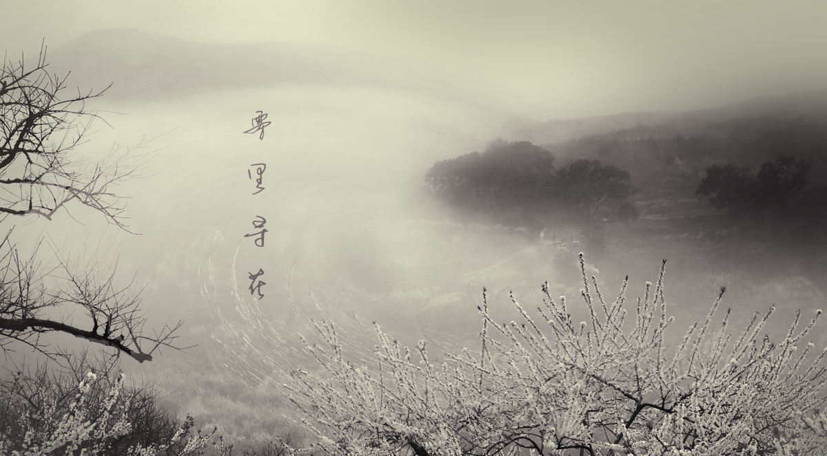 中国风&#8226;烟雨大岭山467 / 作者:小昆 / 帖子ID:12091