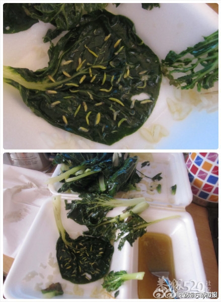 广工大饭堂一份青菜吃出76条菜虫?335 / 作者:谁家小猪 / 帖子ID:12379