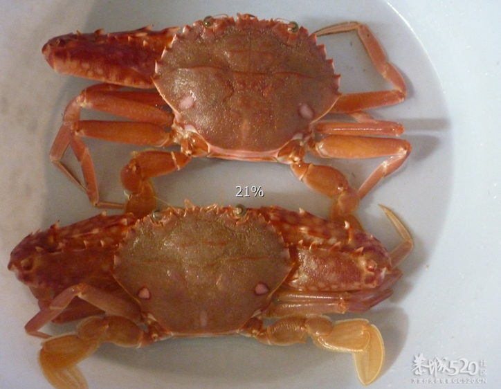 自己第一次买螃蟹吃715 / 作者:小丹丹 / 帖子ID:12389