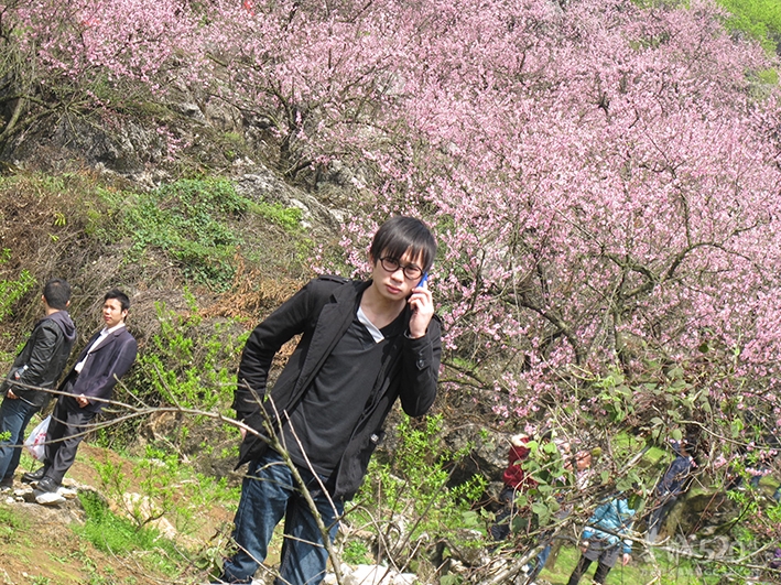 祝我生日快乐462 / 作者:小时候可帅了 / 帖子ID:12917