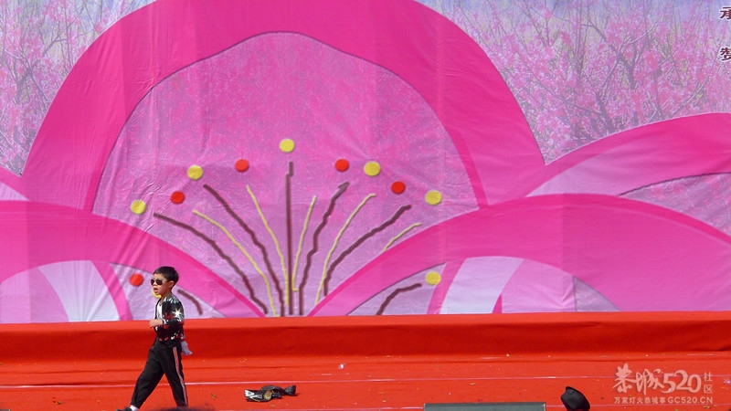 第10届桃花节大型文艺演出现场直击！（更新完毕）464 / 作者:Redsun红日 / 帖子ID:12918