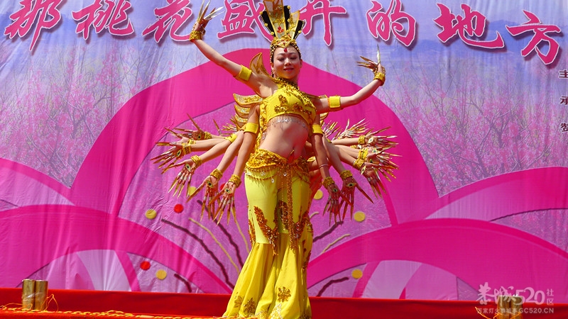 第10届桃花节大型文艺演出现场直击！（更新完毕）993 / 作者:Redsun红日 / 帖子ID:12918