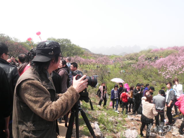 又看到这个家伙三448 / 作者:金网 / 帖子ID:12963