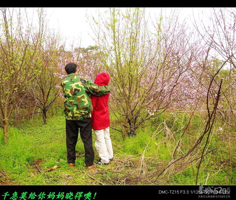 平安大叔去桃花林泡妞、你泡了木有？520 / 作者:平安大叔 / 帖子ID:12966