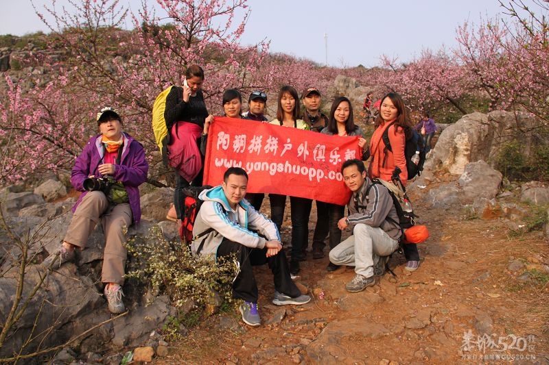 回忆那搭车去看桃花的开心事！446 / 作者:妃儿 / 帖子ID:13041