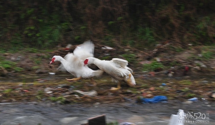 不要这样吗？人家不愿意141 / 作者:小雨点 / 帖子ID:13056