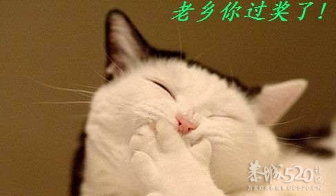 建议桃花节对女生参照乐满地做法833 / 作者:平安大叔 / 帖子ID:12445