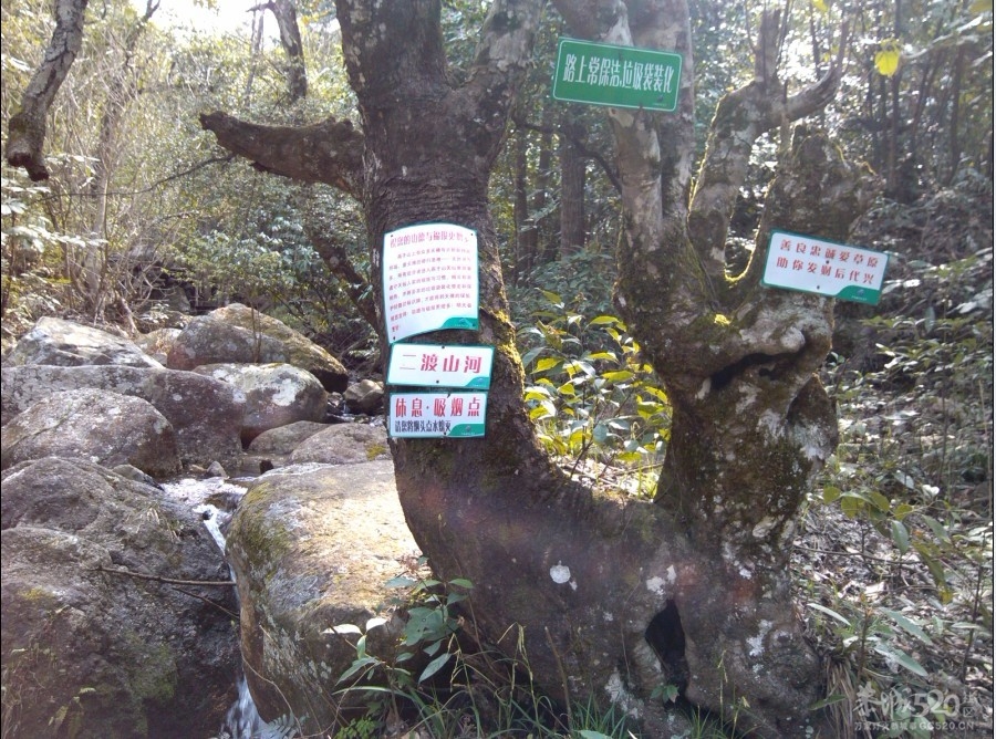 燕子山一游650 / 作者:゛メ╳灬嚟_先生 / 帖子ID:13085