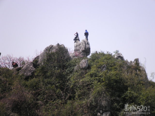 你看这些马辣鬼嘛530 / 作者:金网 / 帖子ID:13115