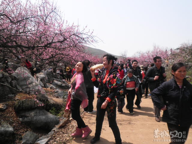 捡得宝了！704 / 作者:金网 / 帖子ID:13117