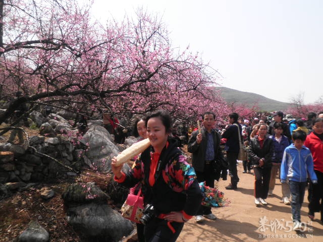 捡得宝了！190 / 作者:金网 / 帖子ID:13117