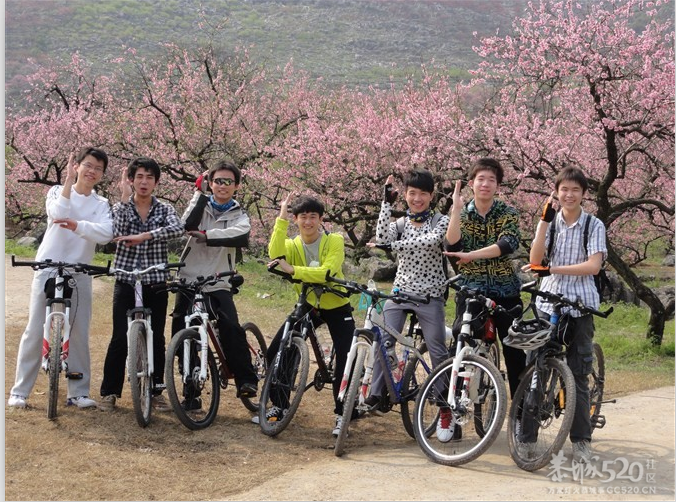 桃花源惊险一群奥特曼549 / 作者:Shirley / 帖子ID:13121