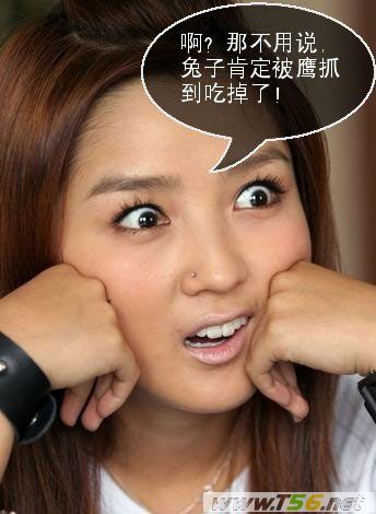 看后会暴笑哦~~810 / 作者:罗少爷 / 帖子ID:13226