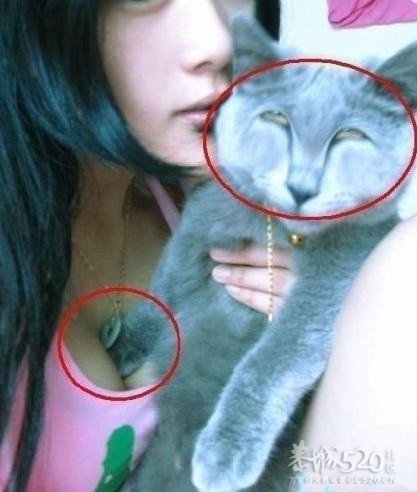 这只猫也太销魂了！673 / 作者:请叫我宅男先生 / 帖子ID:13249