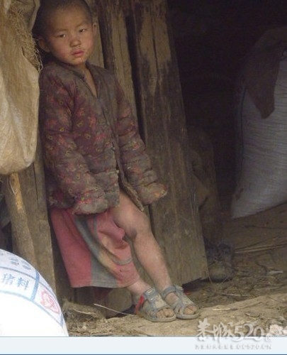 农民深山搭窝棚生五胎 孩子无学可上685 / 作者:小雨点 / 帖子ID:13311