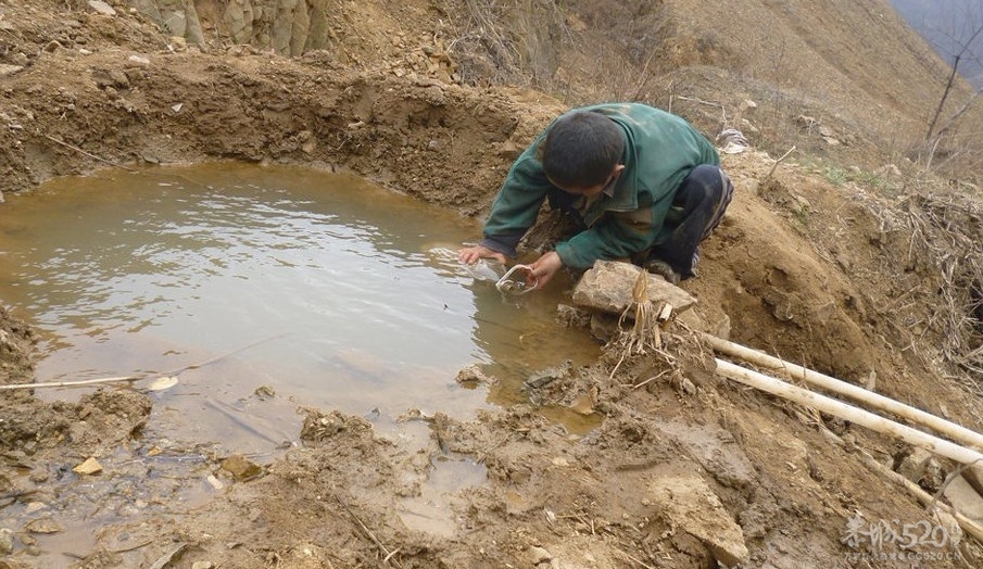 农民深山搭窝棚生五胎 孩子无学可上154 / 作者:小雨点 / 帖子ID:13311