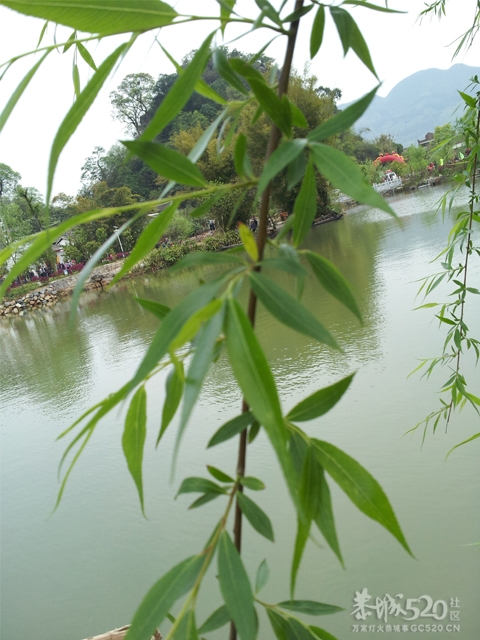 邓扒手机拍的367 / 作者:可乐 / 帖子ID:13343