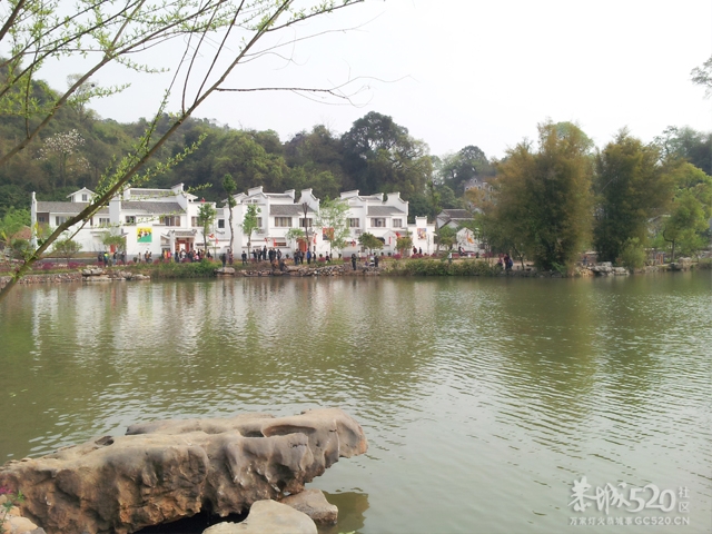 邓扒手机拍的929 / 作者:可乐 / 帖子ID:13343