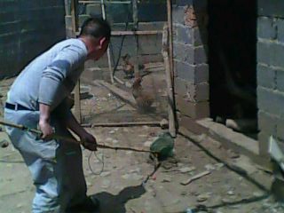 踩飞咯389 / 作者:麻蛋 / 帖子ID:13452