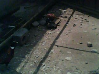 踩飞咯903 / 作者:麻蛋 / 帖子ID:13452